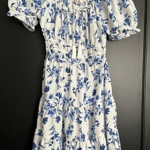 Floral Blue and White Dress